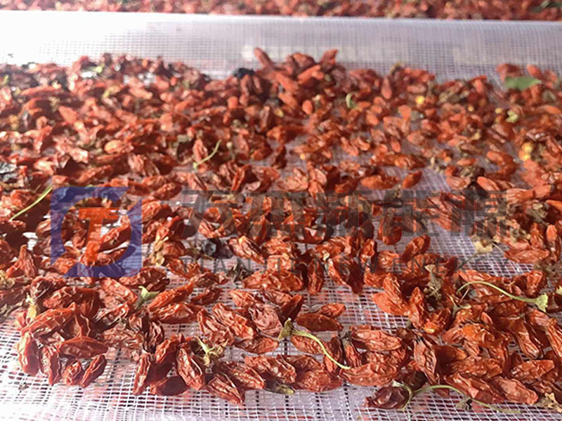 阜陽枸杞烘干機客戶生產(chǎn)現(xiàn)場效果預覽